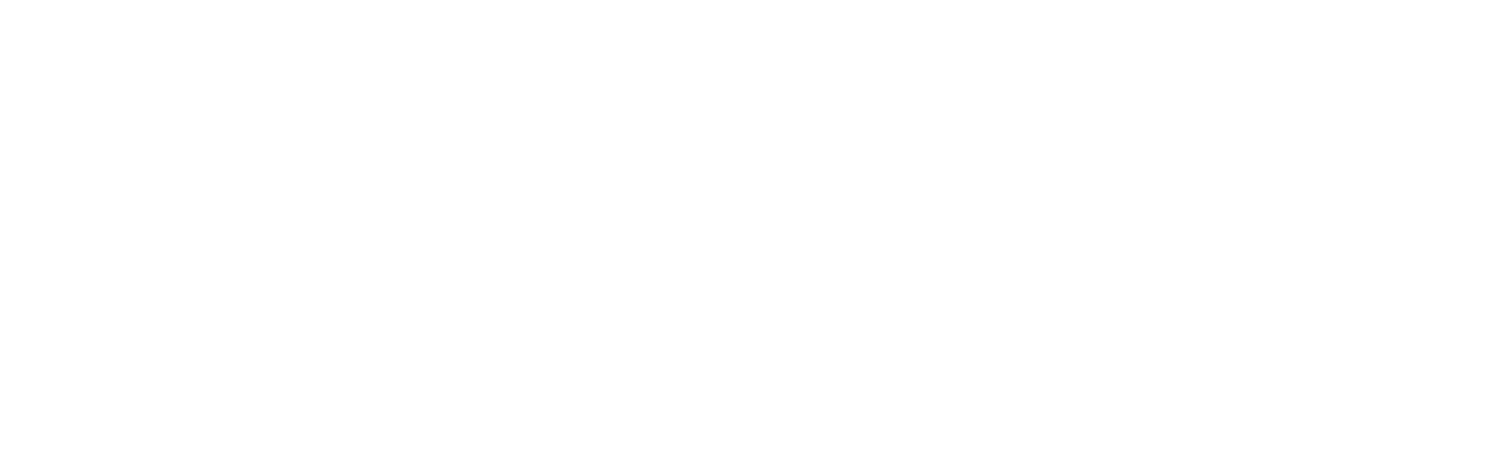 foreflight dark