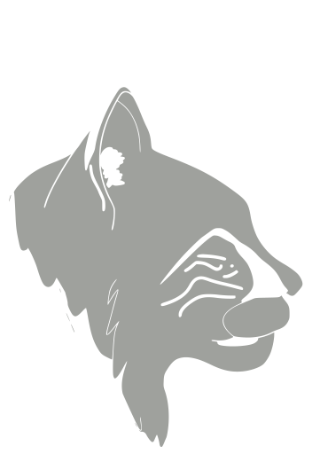 lynx light