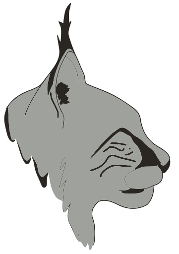 lynx