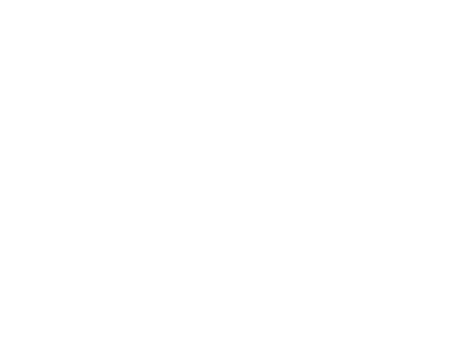 mayan edms light