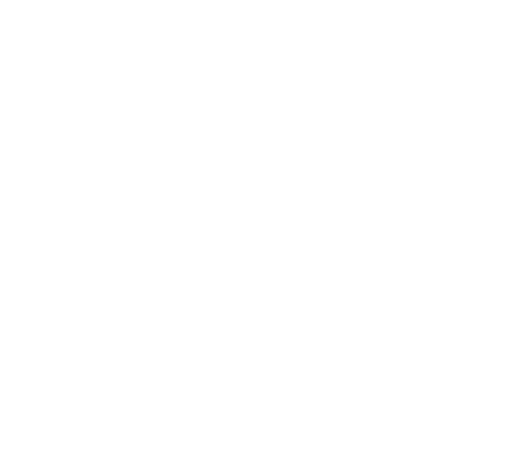 onedev light