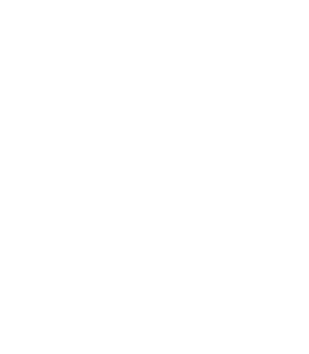 phoneinfoga light