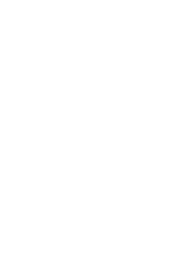 secureai tools light