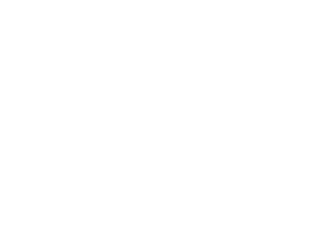 snappymail light
