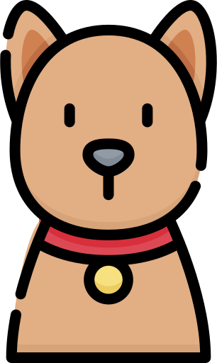 teddy cloud