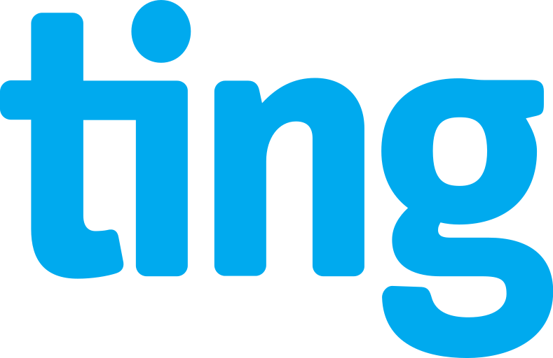 ting isp