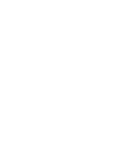 zashboard dark