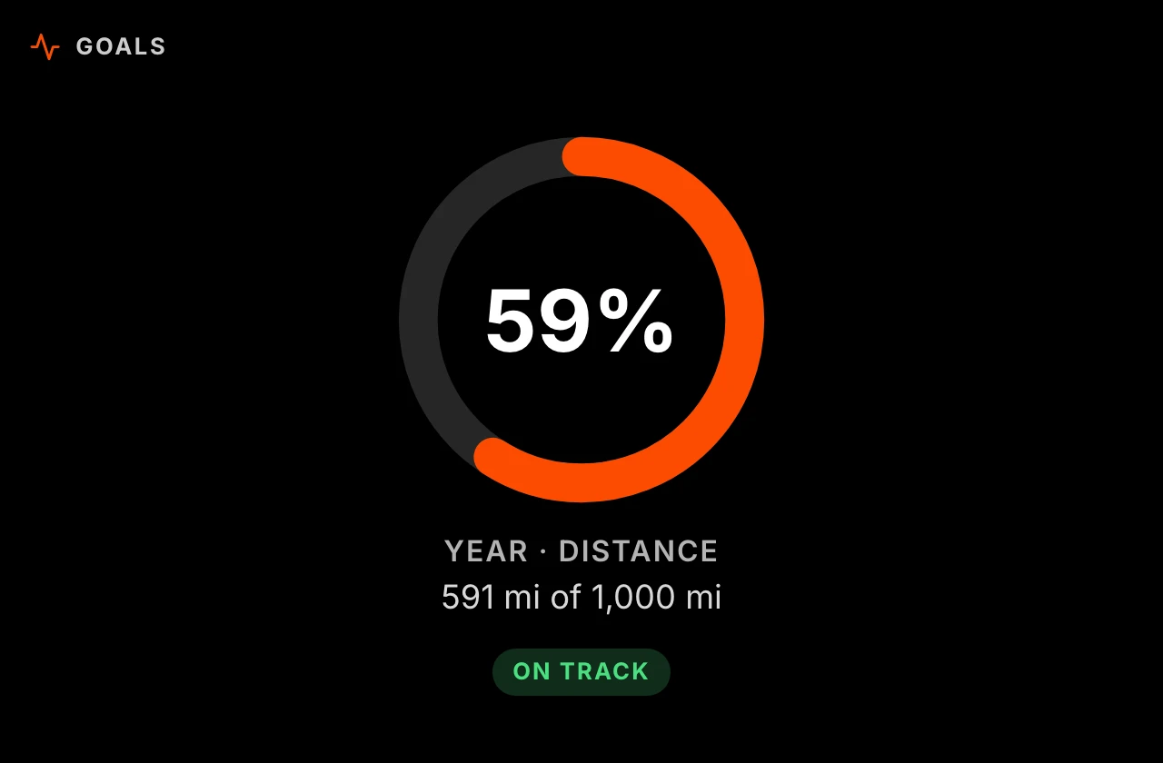 Progress rings toward weekly and yearly goals