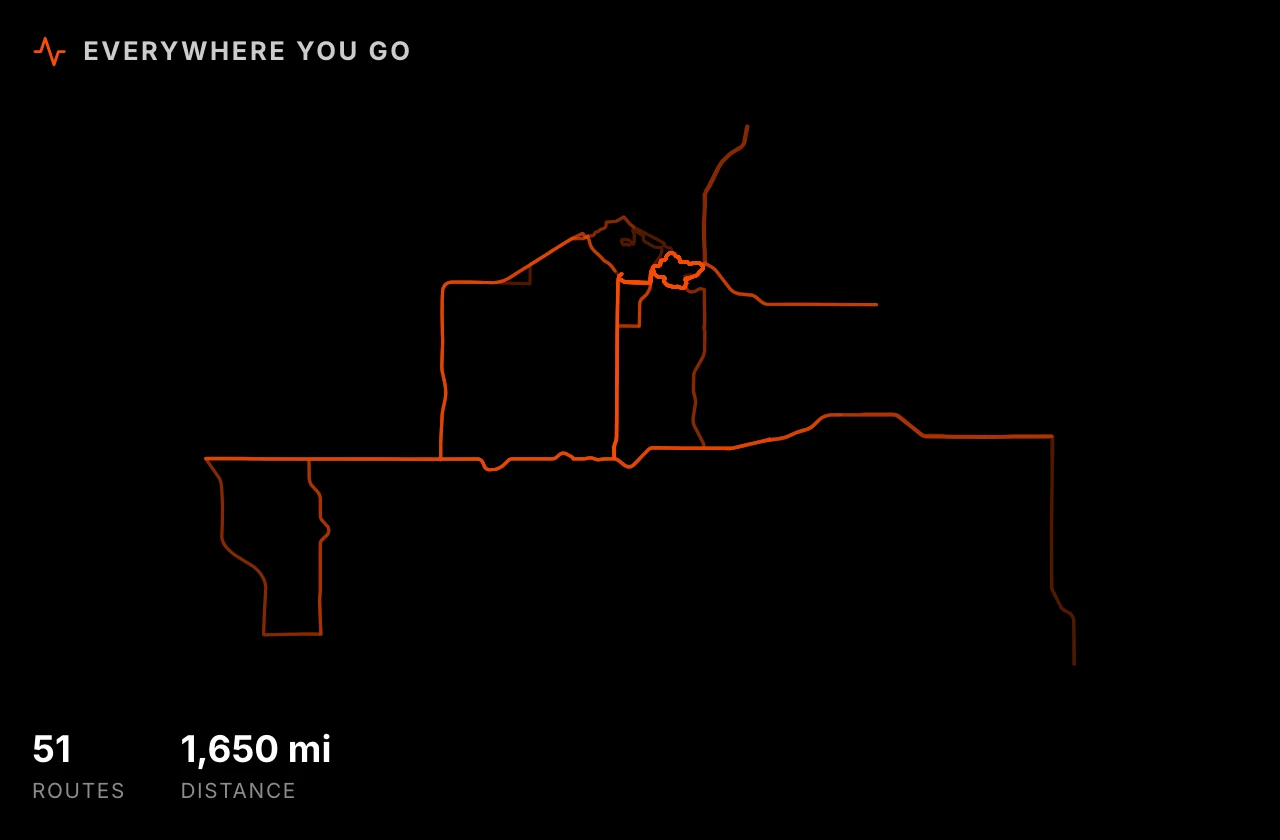 Every route from the last year on one canvas