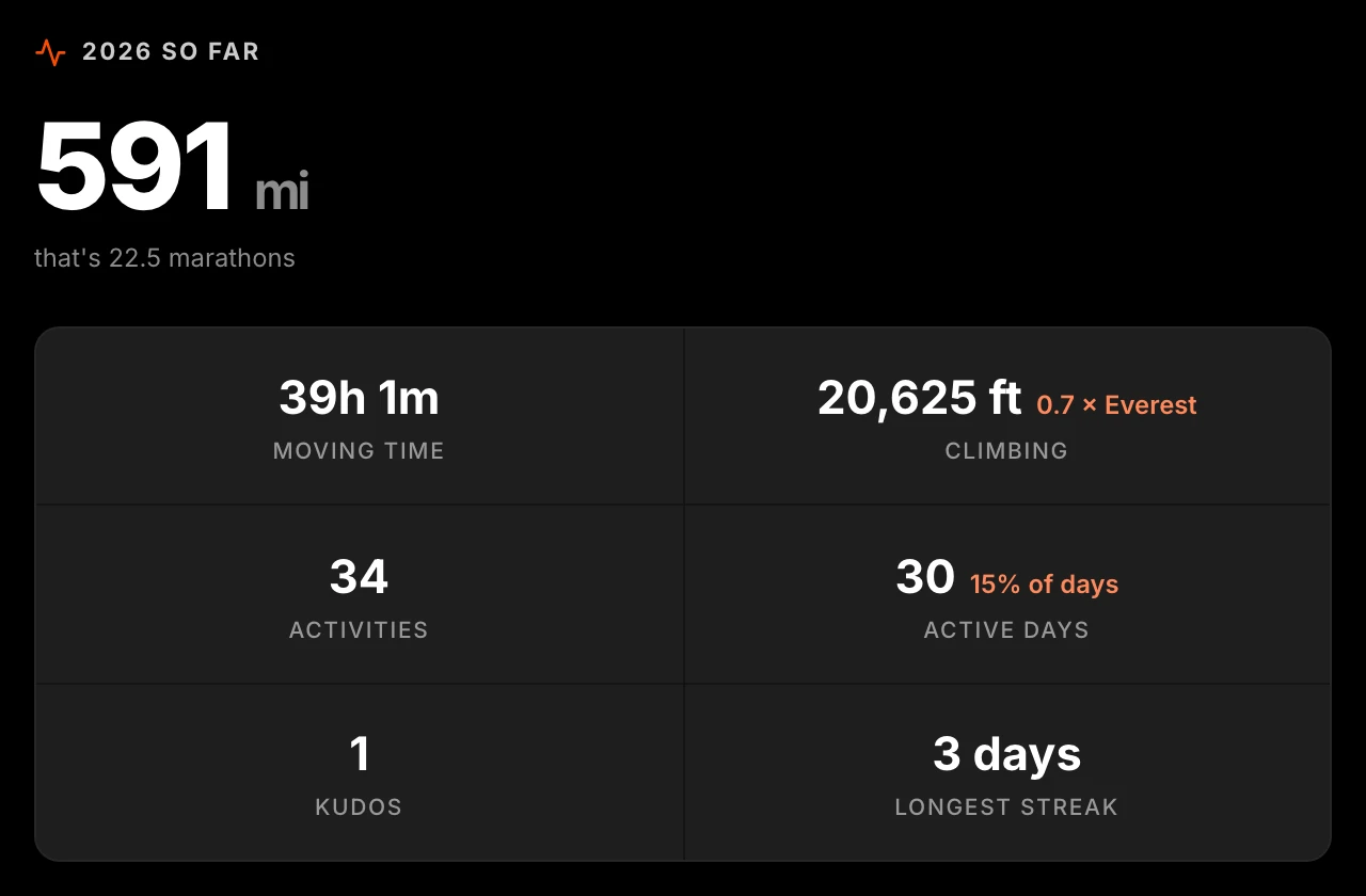 The year as a poster: distance, time, climbing, active days