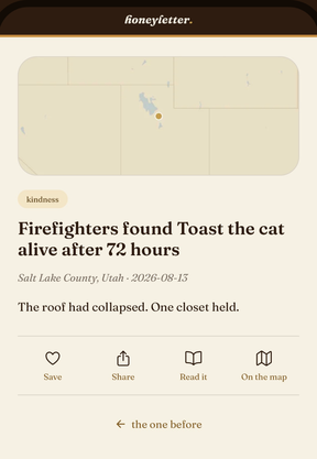 A story card in the honeyletter app
