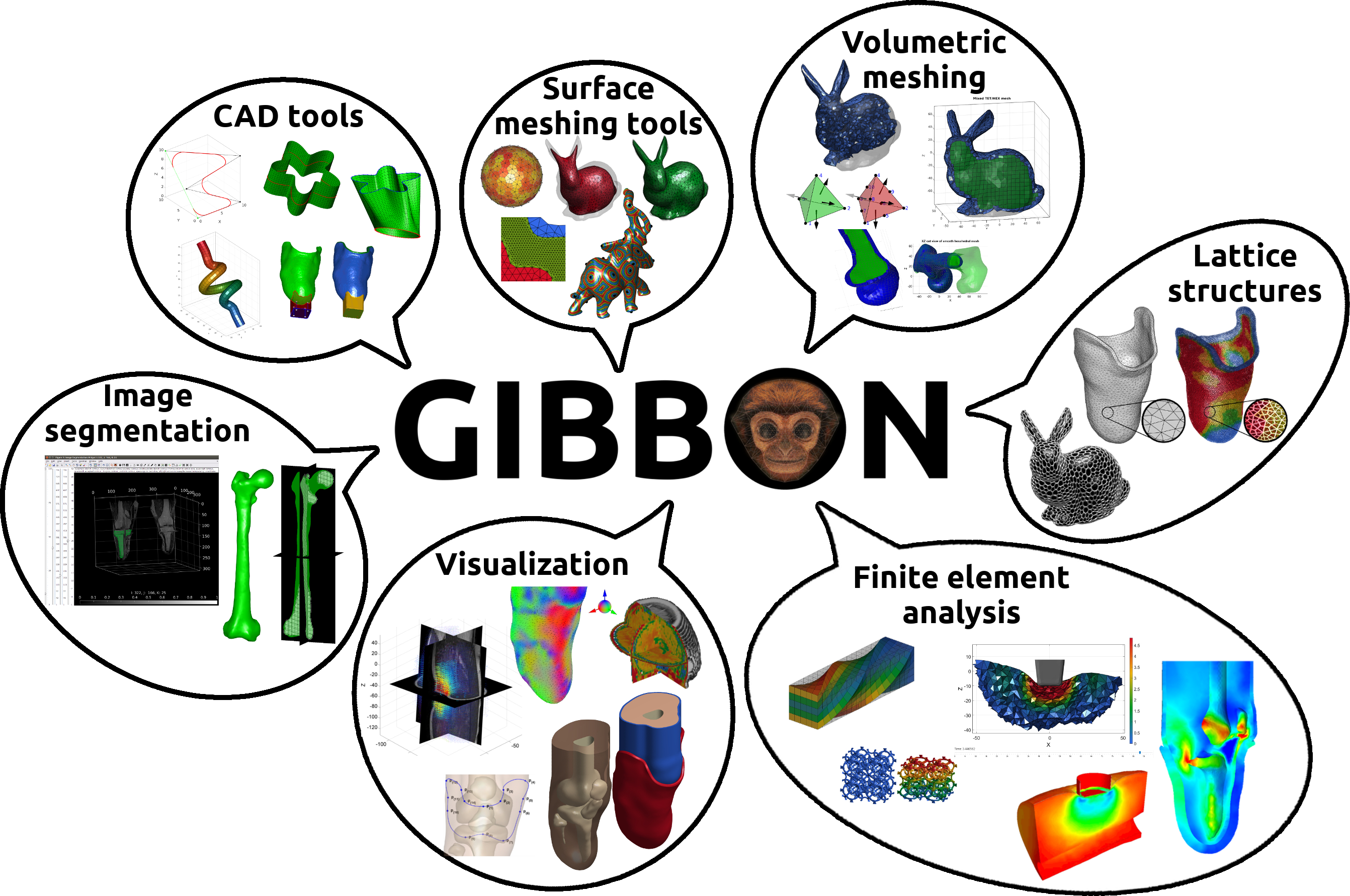 GIBBON overview