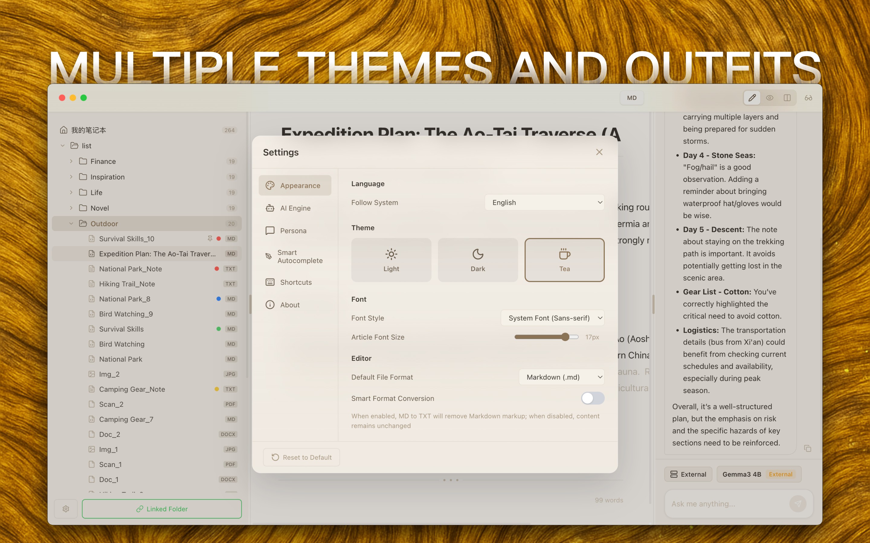 Multiple Themes