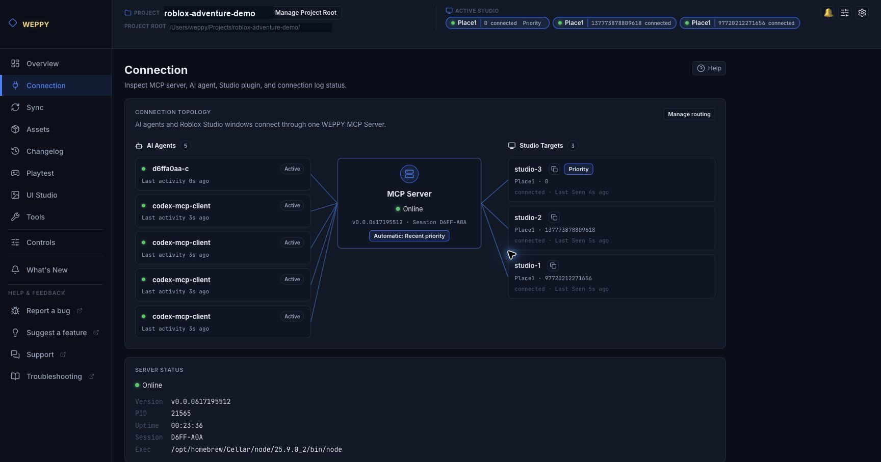WEPPY Dashboard Connection - multiple AI agents and Studio Targets connected to one MCP server