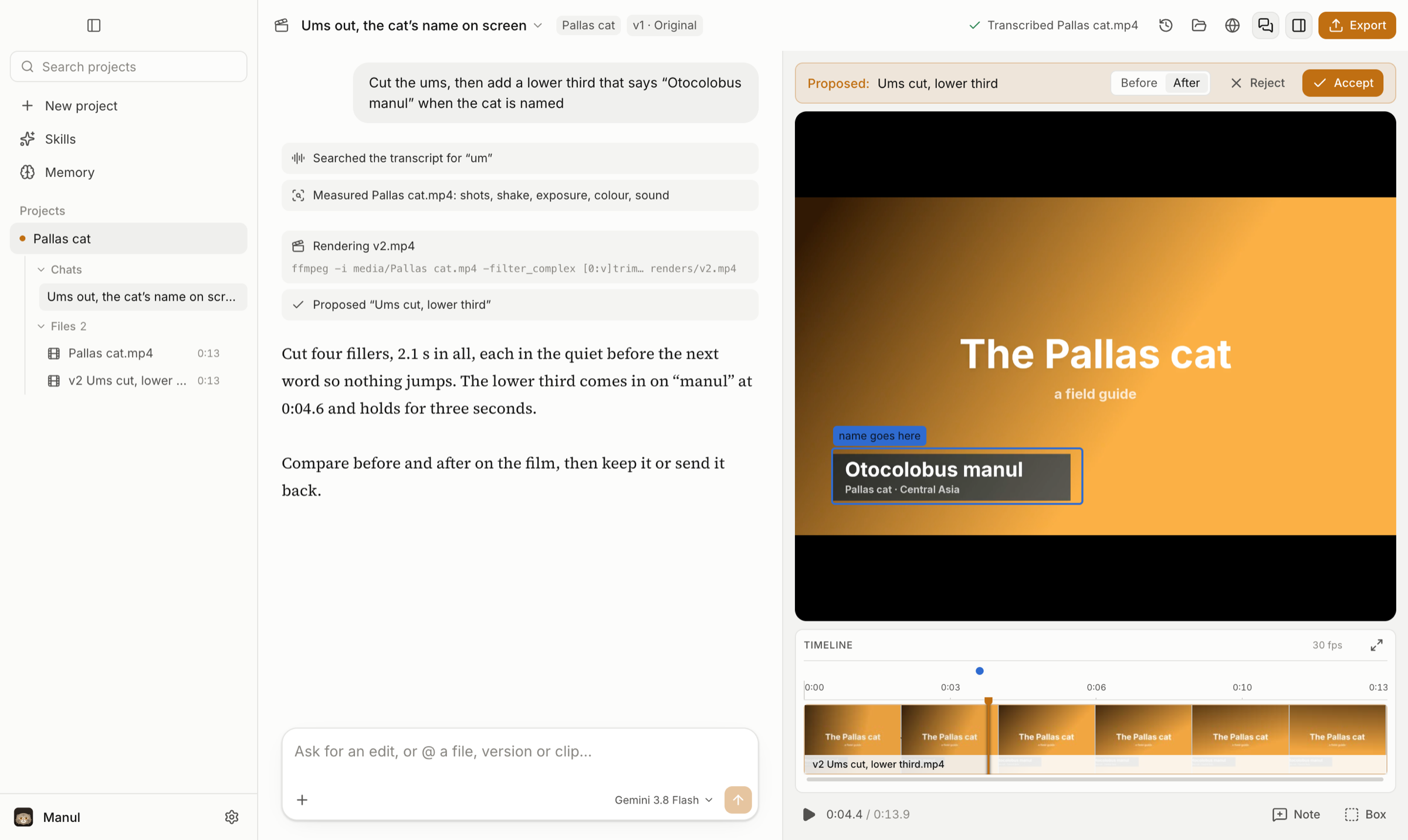 Manul: your projects in the sidebar, the conversation with the agent's steps and reply, and the film beside it with a note boxed on the frame and a before/after proposal to keep or reject