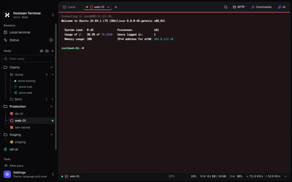 Hostealo Terminal: an SSH session with the live resource monitor
