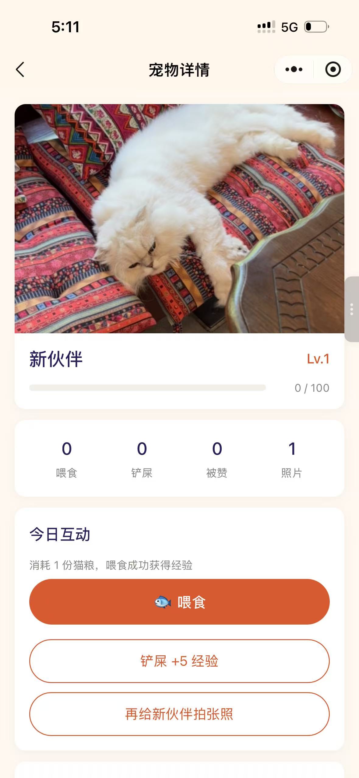 宠物详情:Lv.1 新伙伴 0/100 经验,喂食 +10 EXP / 铲屎 +5 EXP