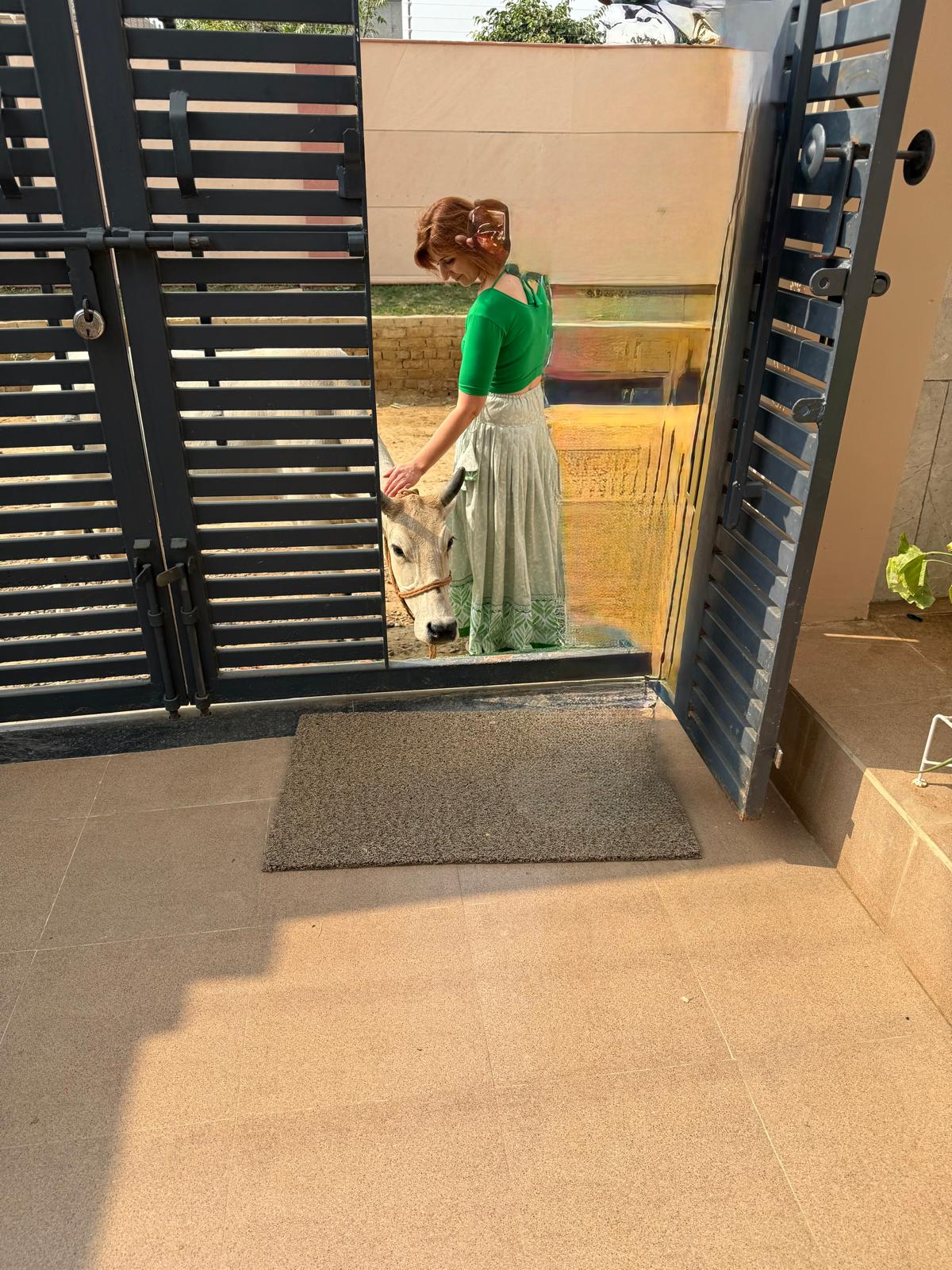 Happy international pilgrims