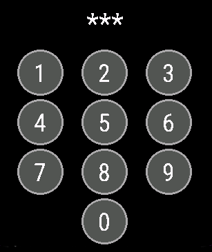 PIN Entry View