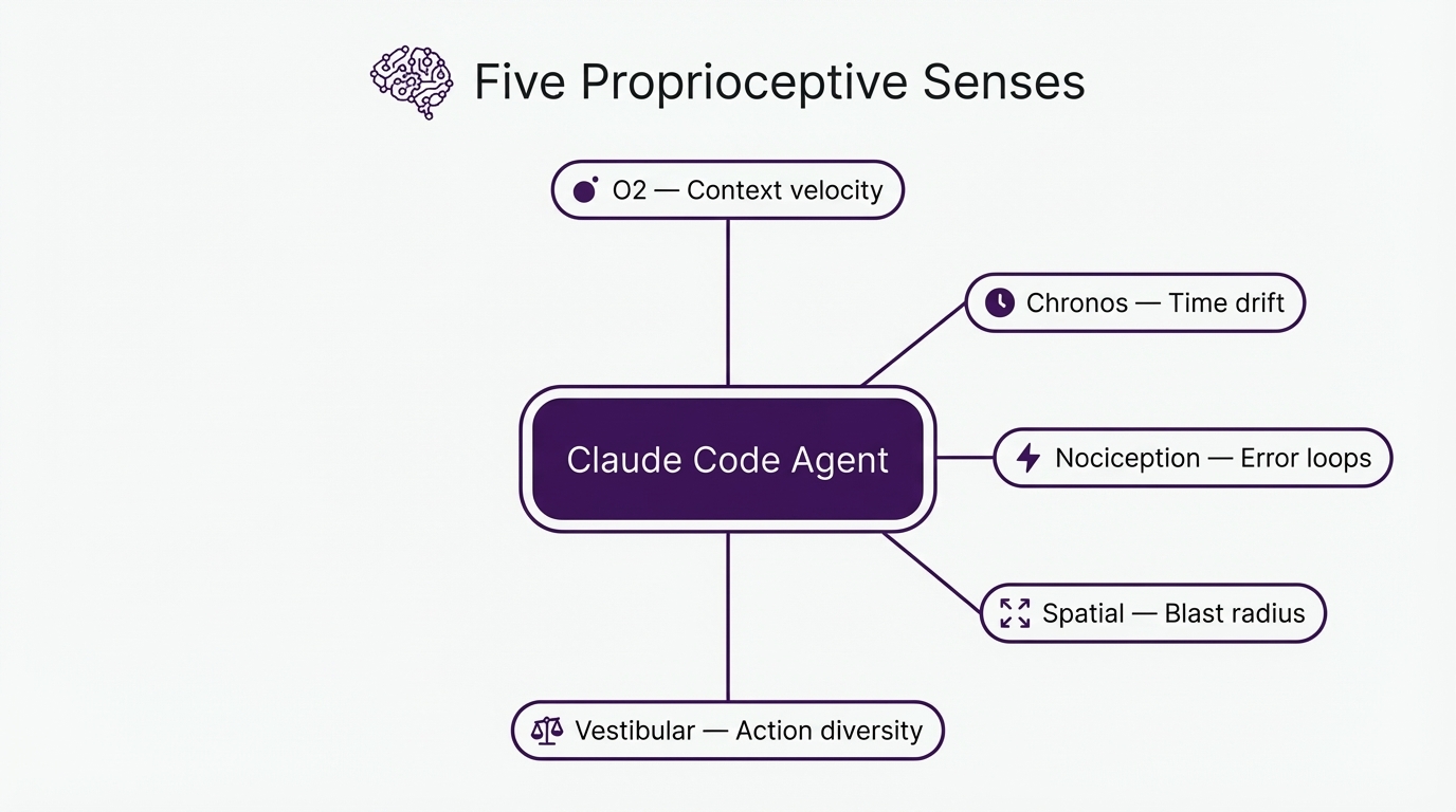 Proprioceptive Senses