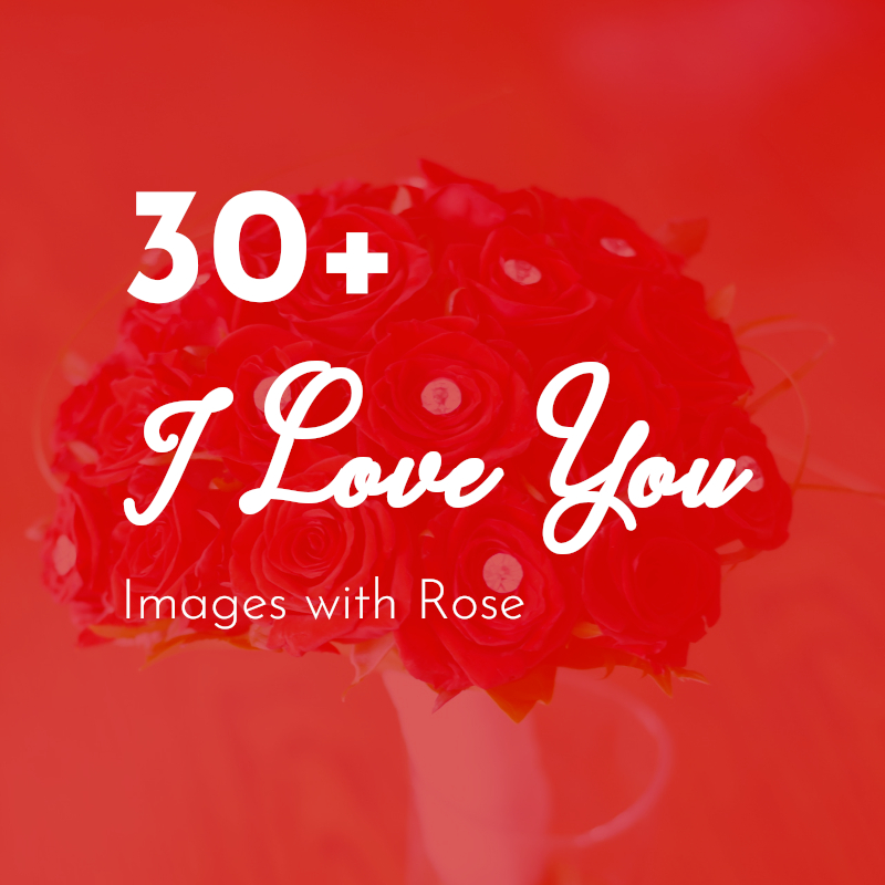 30+ I Love You Free Images with Flower Rose