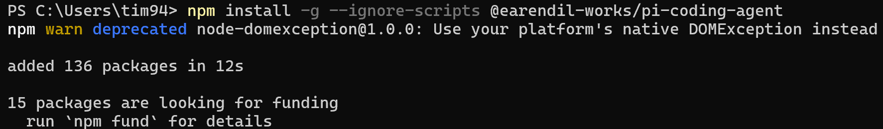 npm 安裝完成
