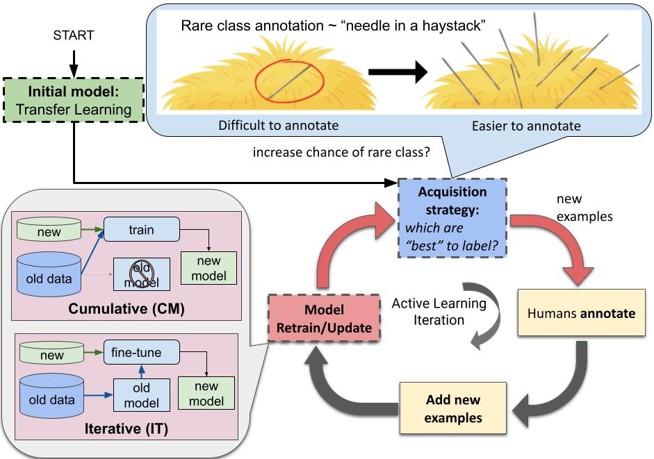 Active learning with needle in haystack