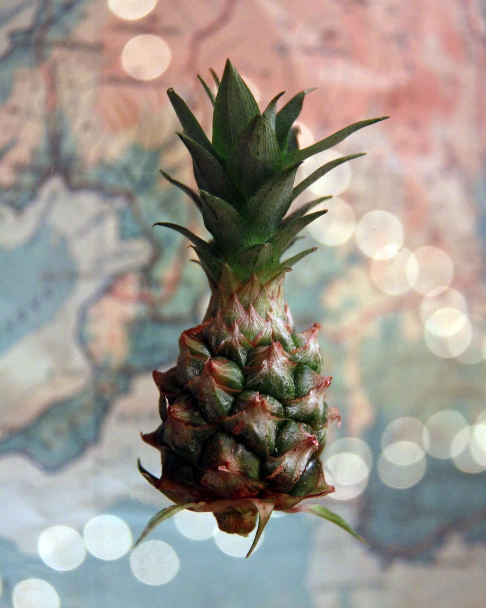 22g ananas pineapple