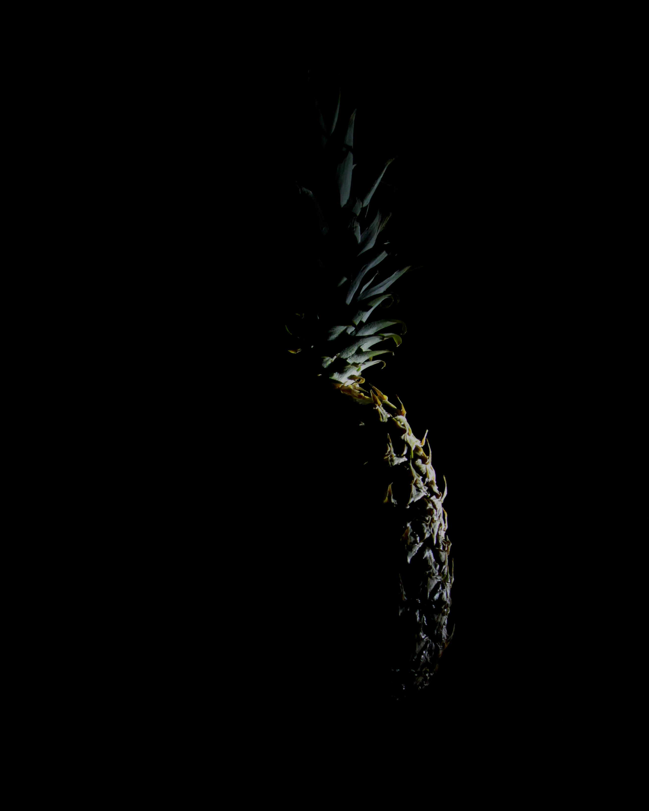 1777g ananas pineapple