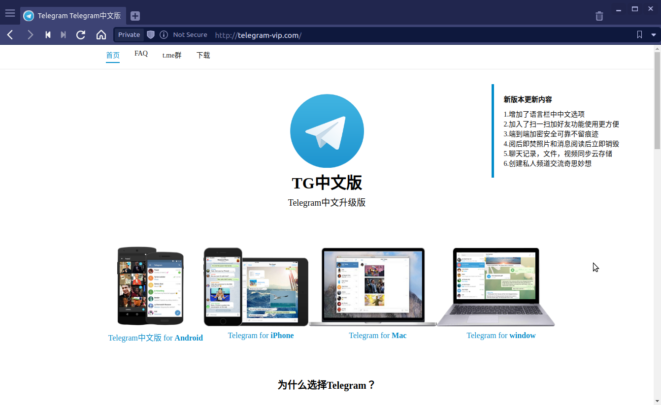 alt Fake Chinese version of Telegram website