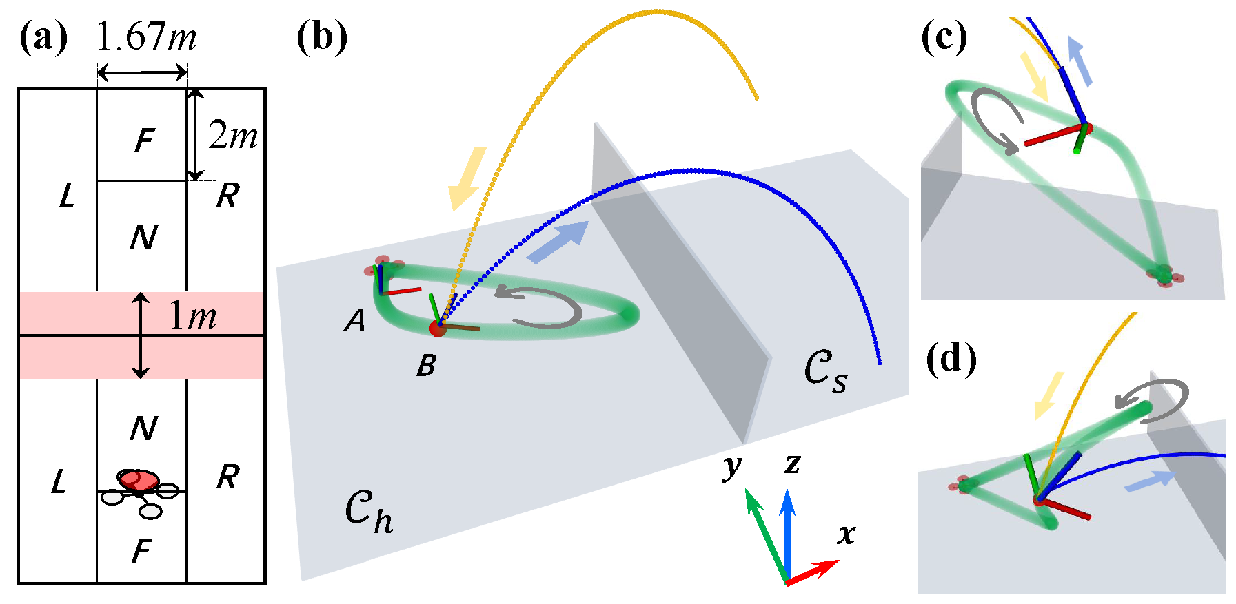 Simulation Scene