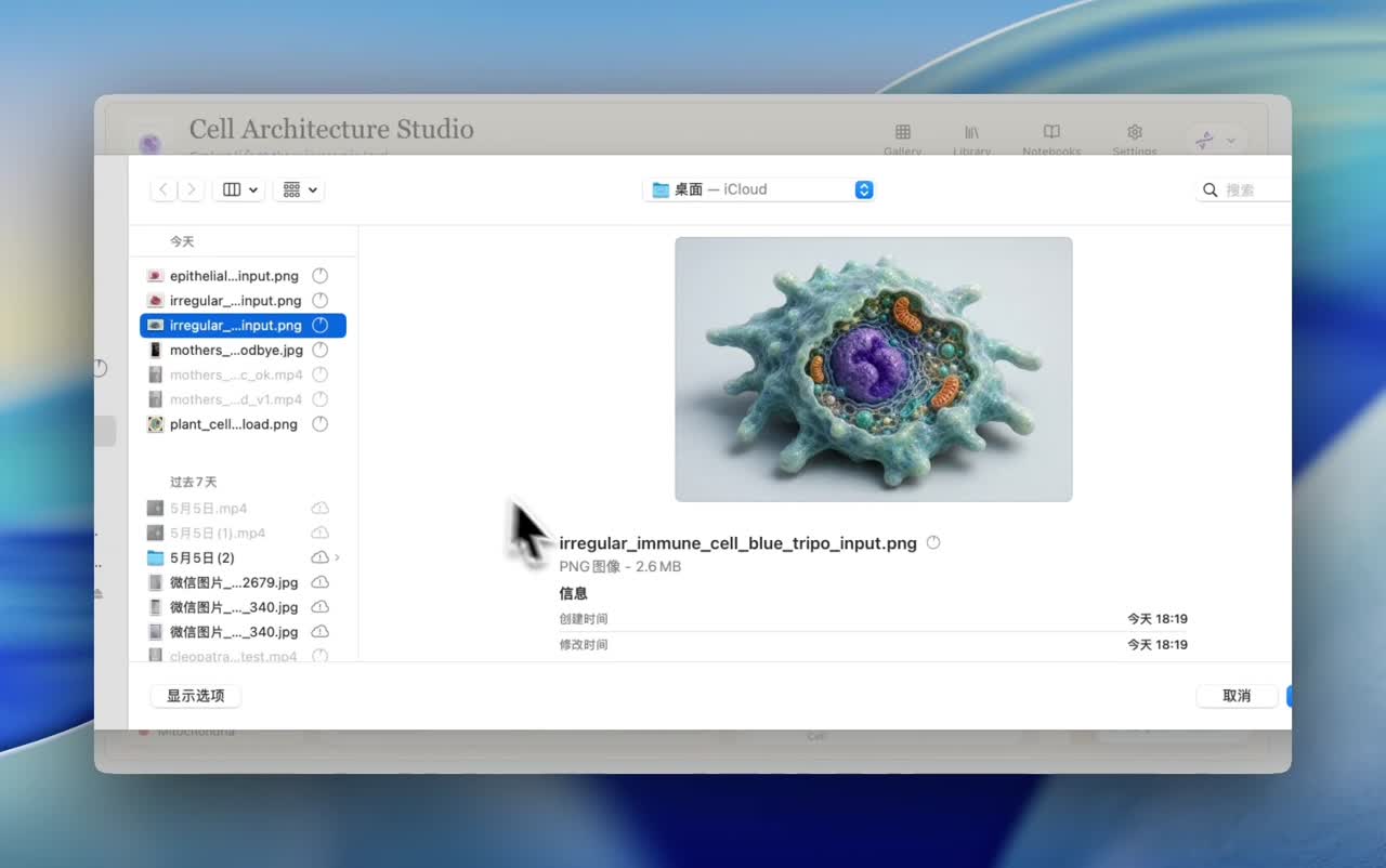 3D Model Studio demo