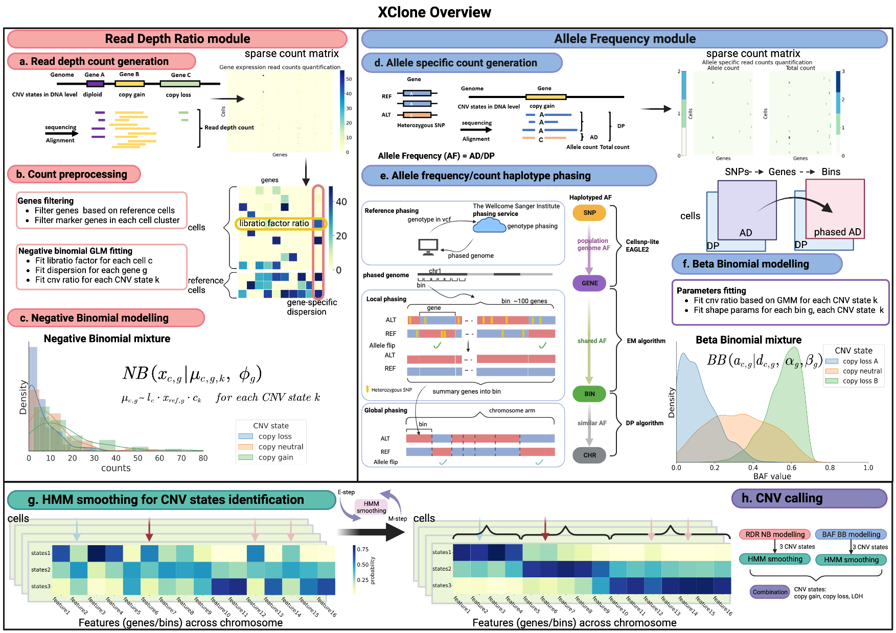 ./docs/image/XClone_overview_150dpi.png