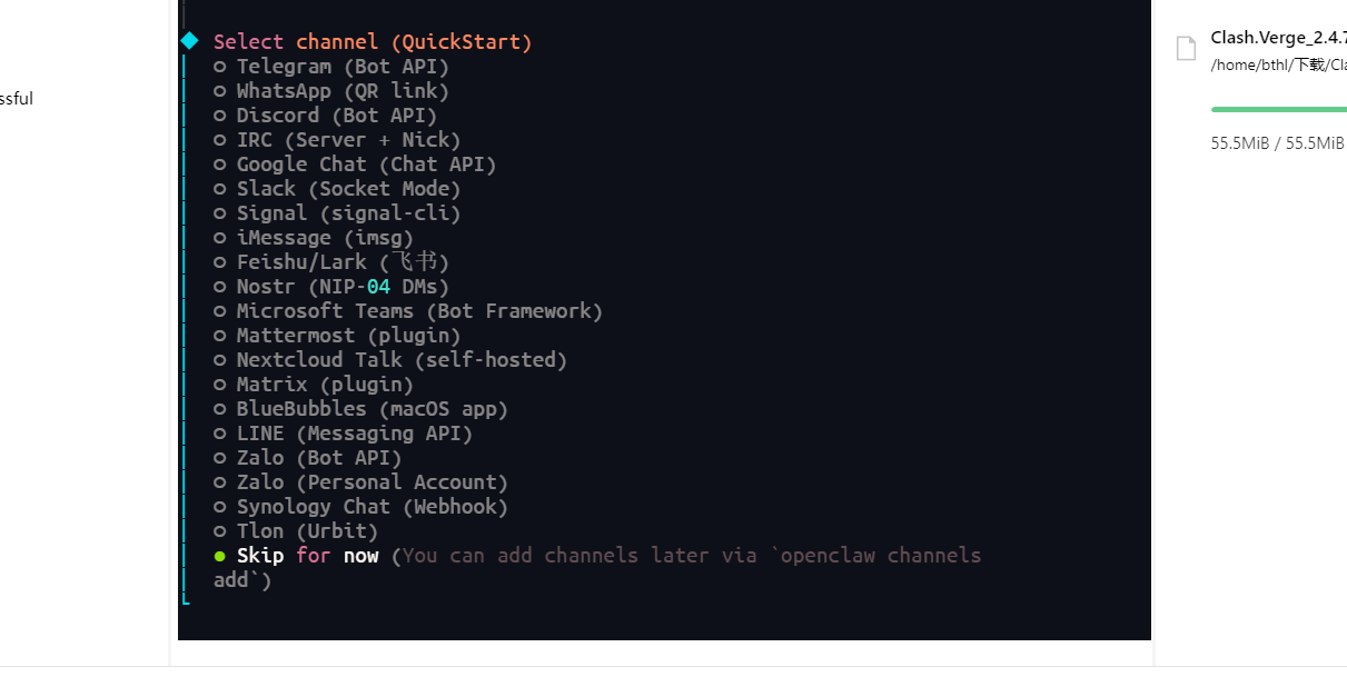 继续跳过可选步骤