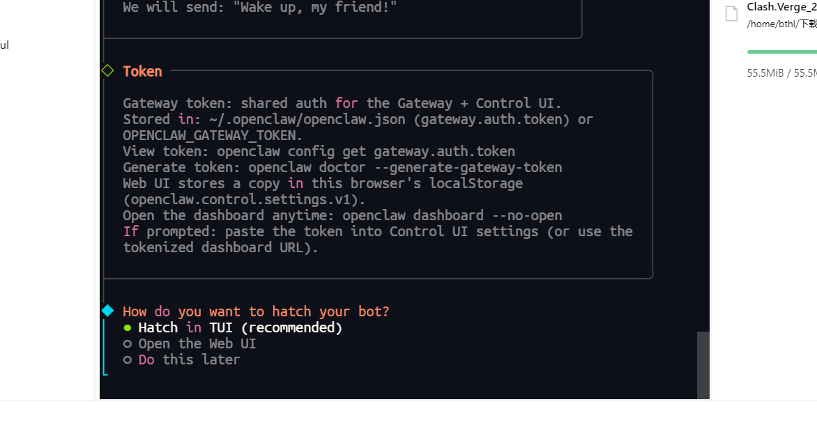 选择 Open the Web UI