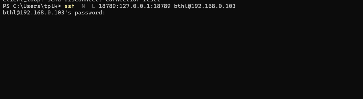 在浏览器中打开带 token 的地址