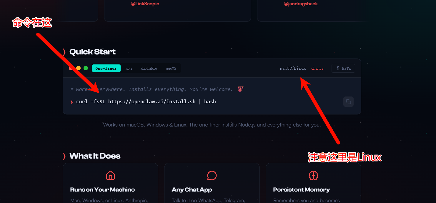 执行 OpenClaw 官方安装脚本