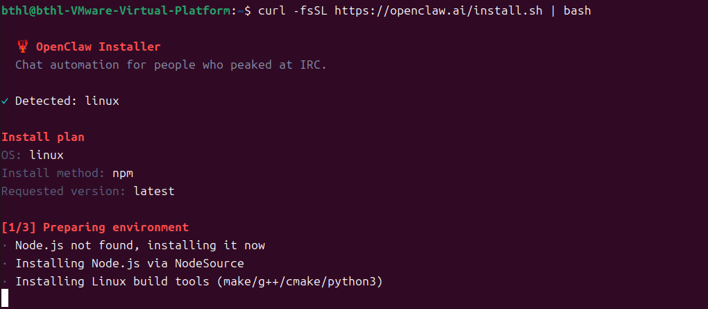 等待安装脚本运行