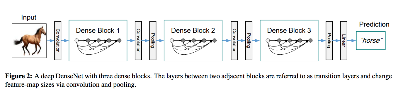 densenet architecture