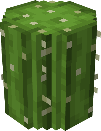 cacti-main