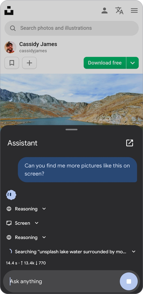 The assistant sheet opened over a web page, reading the screen and searching for similar pictures