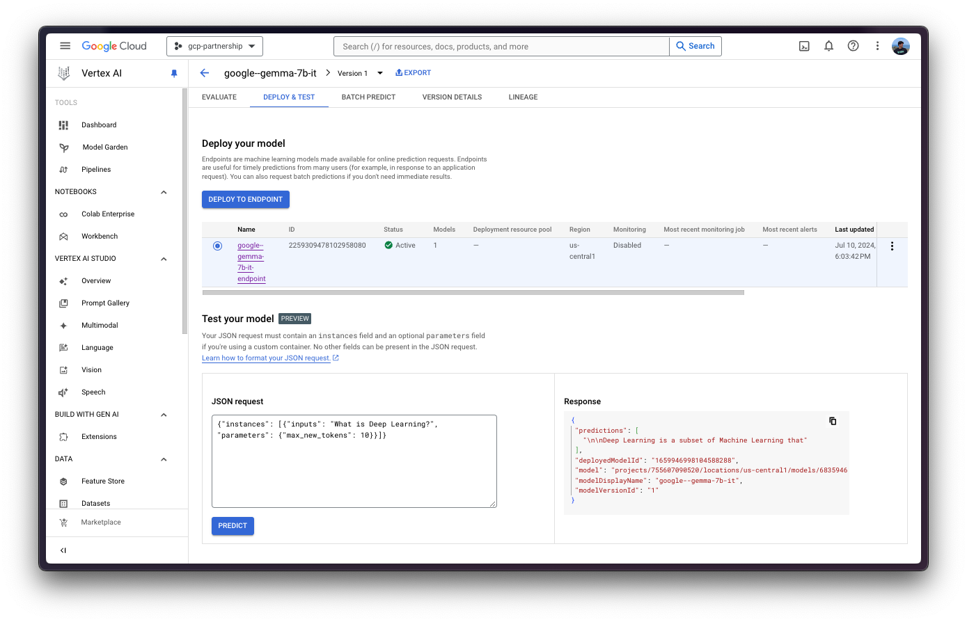 Vertex AI Endpoint online inference