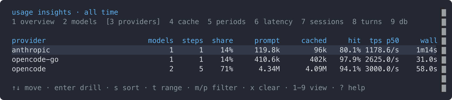 The /usage providers view