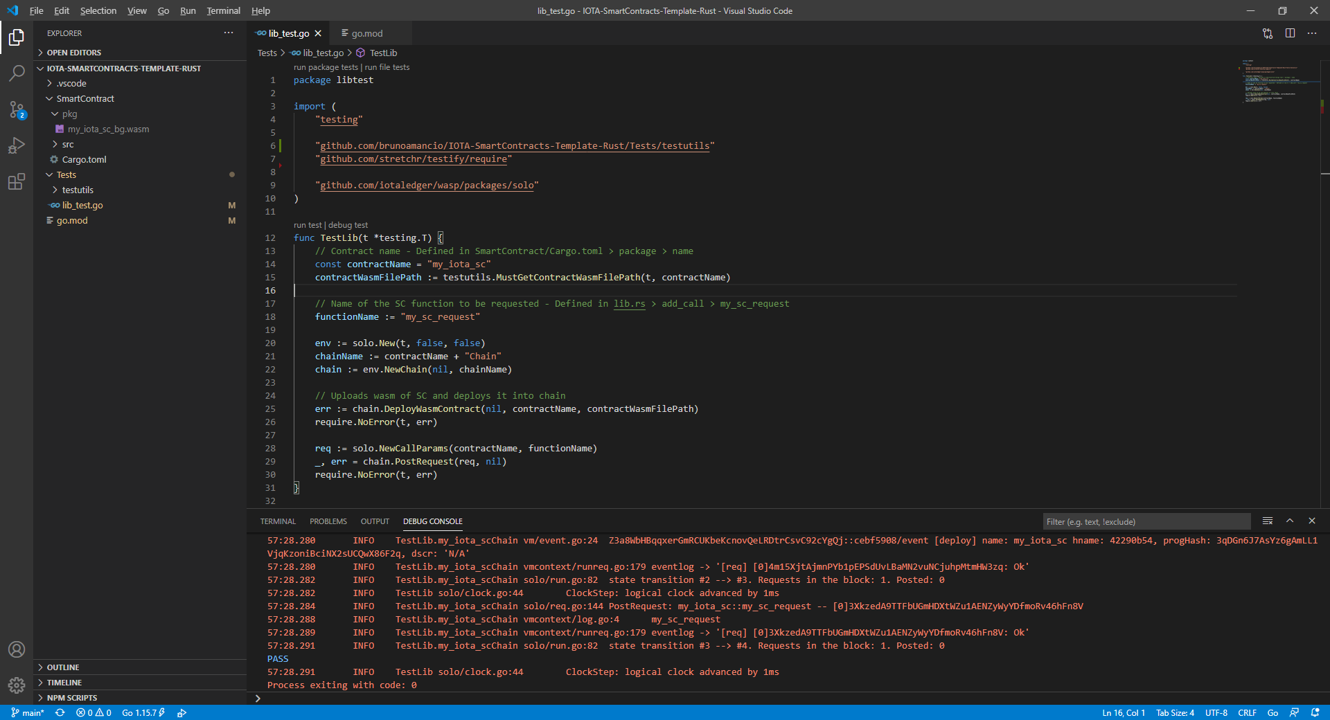 View of the template on VSCode