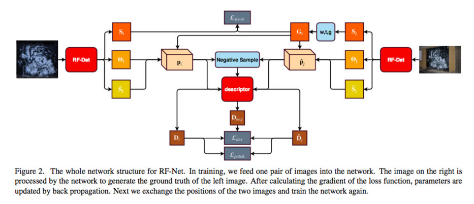 RF-Net