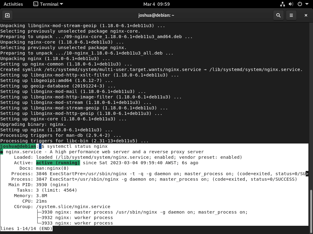 在 Debian Linux 上使用 LEMP 安装 WordPress 后，显示 Nginx 成功状态的终端截图。
