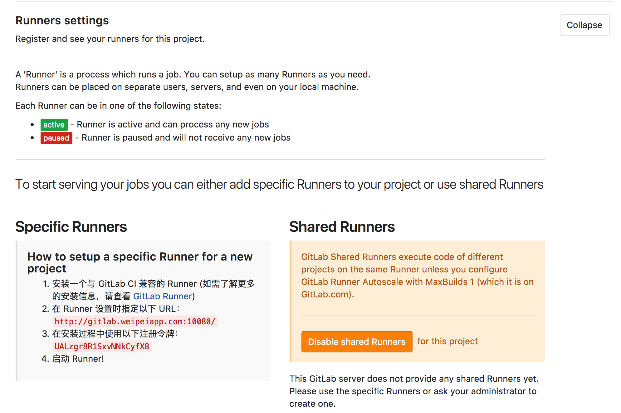Gitlab Runner Register Parameters