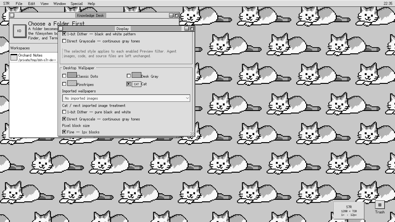 Display controls overlapping Knowledge Desk on the seamless grayscale Cat wallpaper