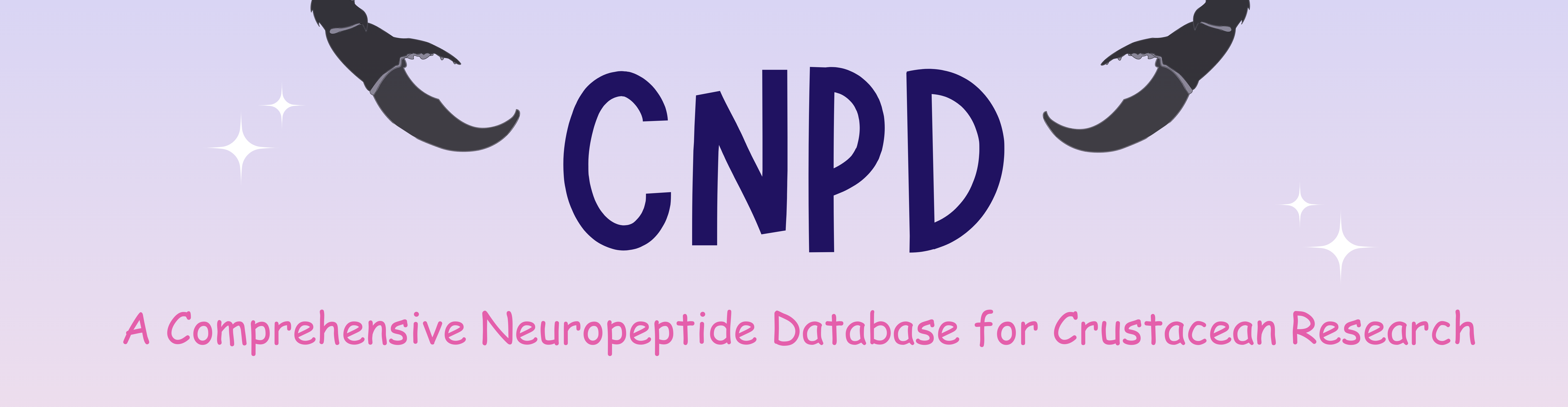 CNPD Logo