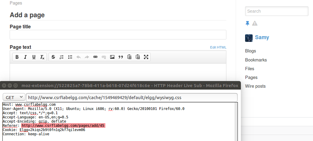 image-20240619221713999